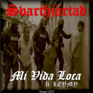 Svarthjärtad的專輯Mi Vida Loca (feat. Leymy) [Explicit]