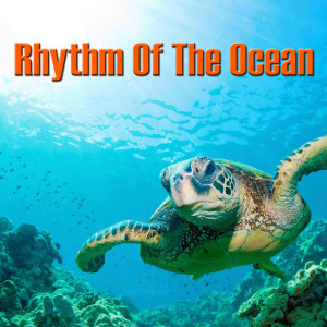 Album Rhythm of the Ocean from Nature Wonders