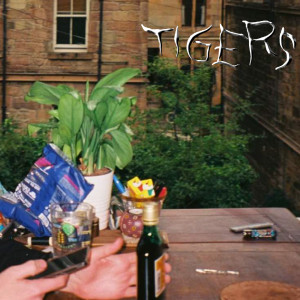 ดาวน์โหลดและฟังเพลง Youth พร้อมเนื้อเพลงจาก Tigers