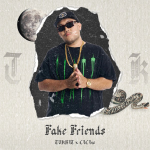 fake friends (Explicit)