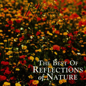 收聽Reflections of Nature的Desert Dance歌詞歌曲