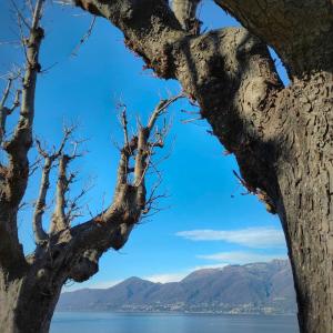 Album Another Day, Another Chance oleh NamesAsFlowers