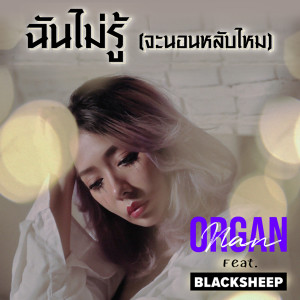Album ฉันไม่รู้ (จะนอนหลับไหม) from Organ Nan