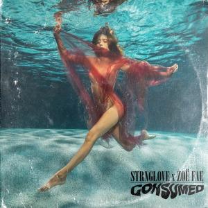 อัลบัม Consumed (feat. STRNGLOVE) ศิลปิน Zoë Fae