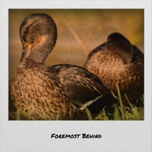 收听Gifton Babr的Affection Anyroad歌词歌曲