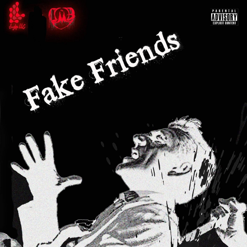 Fake Friends (feat. DMG) (Explicit)