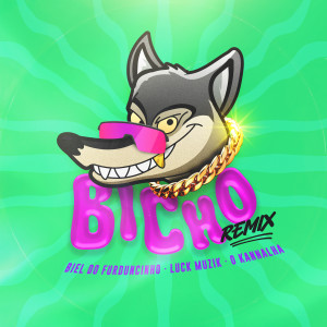 DJ Biel do Furduncinho的專輯Bicho (Remix)