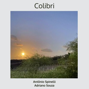 ดาวน์โหลดและฟังเพลง Colibri พร้อมเนื้อเพลงจาก Antônio Spinelli