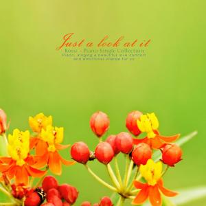 Listen to Baraman Bayado song with lyrics from 로시