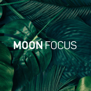 收聽Moon Tunes的Gentle Waves歌詞歌曲