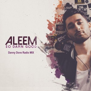 收聽Aleem的So Damn Good (Danny Dove Radio Mix)歌詞歌曲