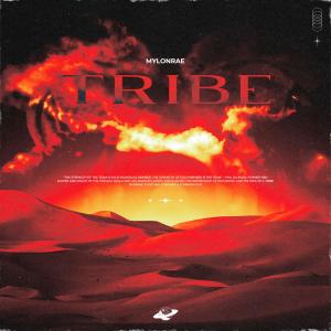 Album Tribe oleh Mylonrae