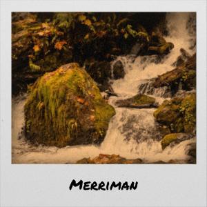 Various的专辑Merriman
