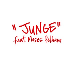 Seven的專輯Junge (feat. Moses Pelham)