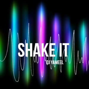 Album Shake It from DJ Yameel