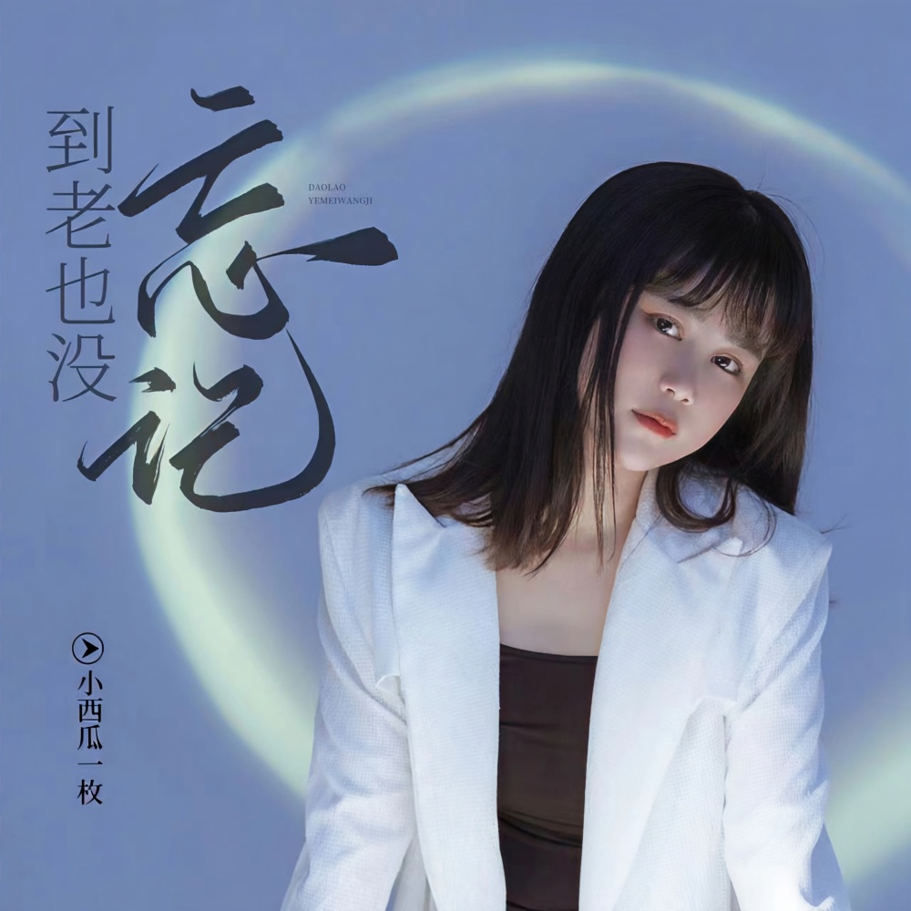 到老也没忘记(女版DJcandy版） (伴奏)