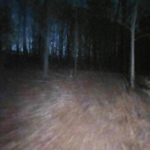 Lxkai的專輯Within your love (Explicit)