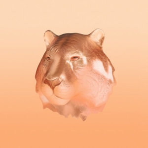 SÄLEN的專輯Copper Kiss
