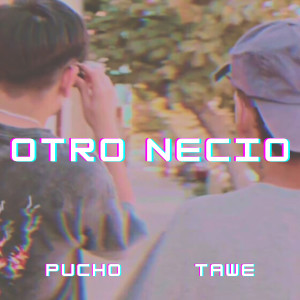 Album Otro Necio (Explicit) from Pucho