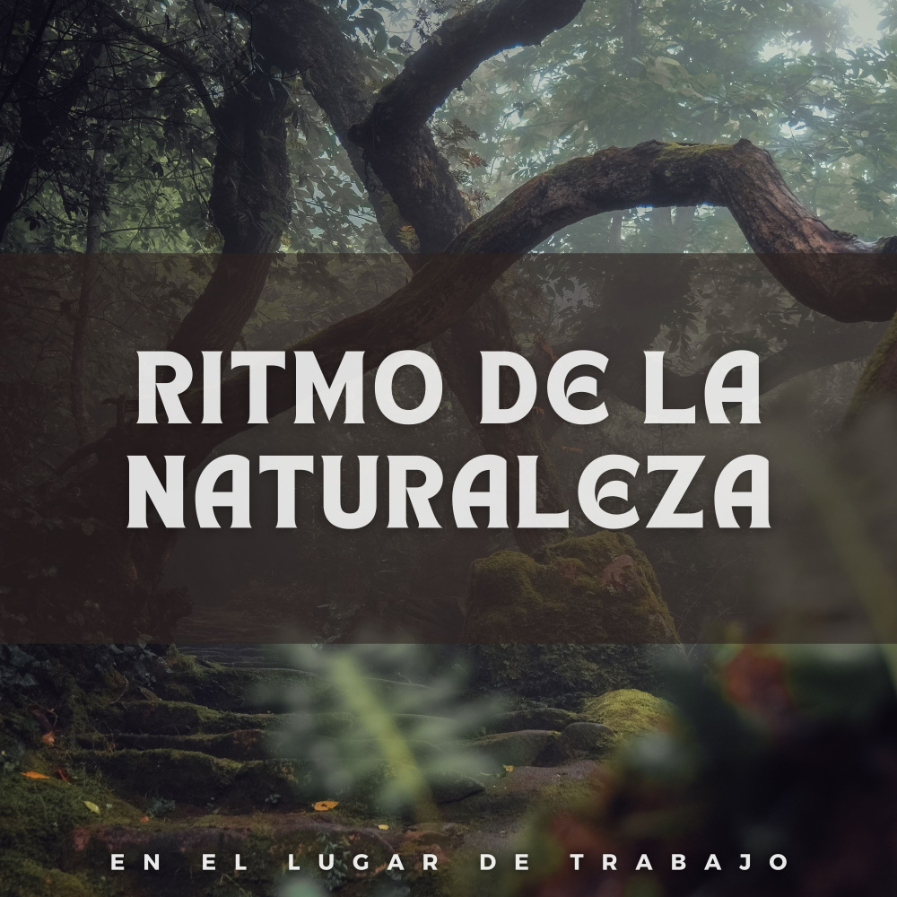 Una Sinfonía Del Bosque