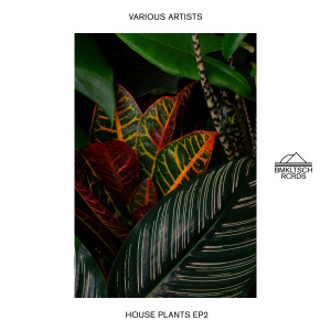 Colour Castle的專輯House Plants 2 - EP
