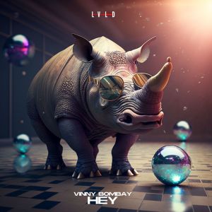 Listen to HEY song with lyrics from Vinny Bombay