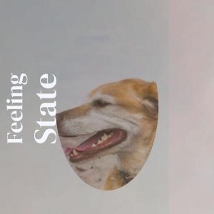 Listen to Sugar song with lyrics from Lexter Magh