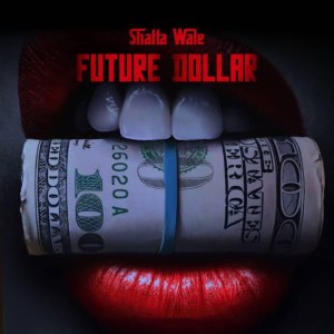 Listen to Future Dollar song with lyrics from Shatta Wale