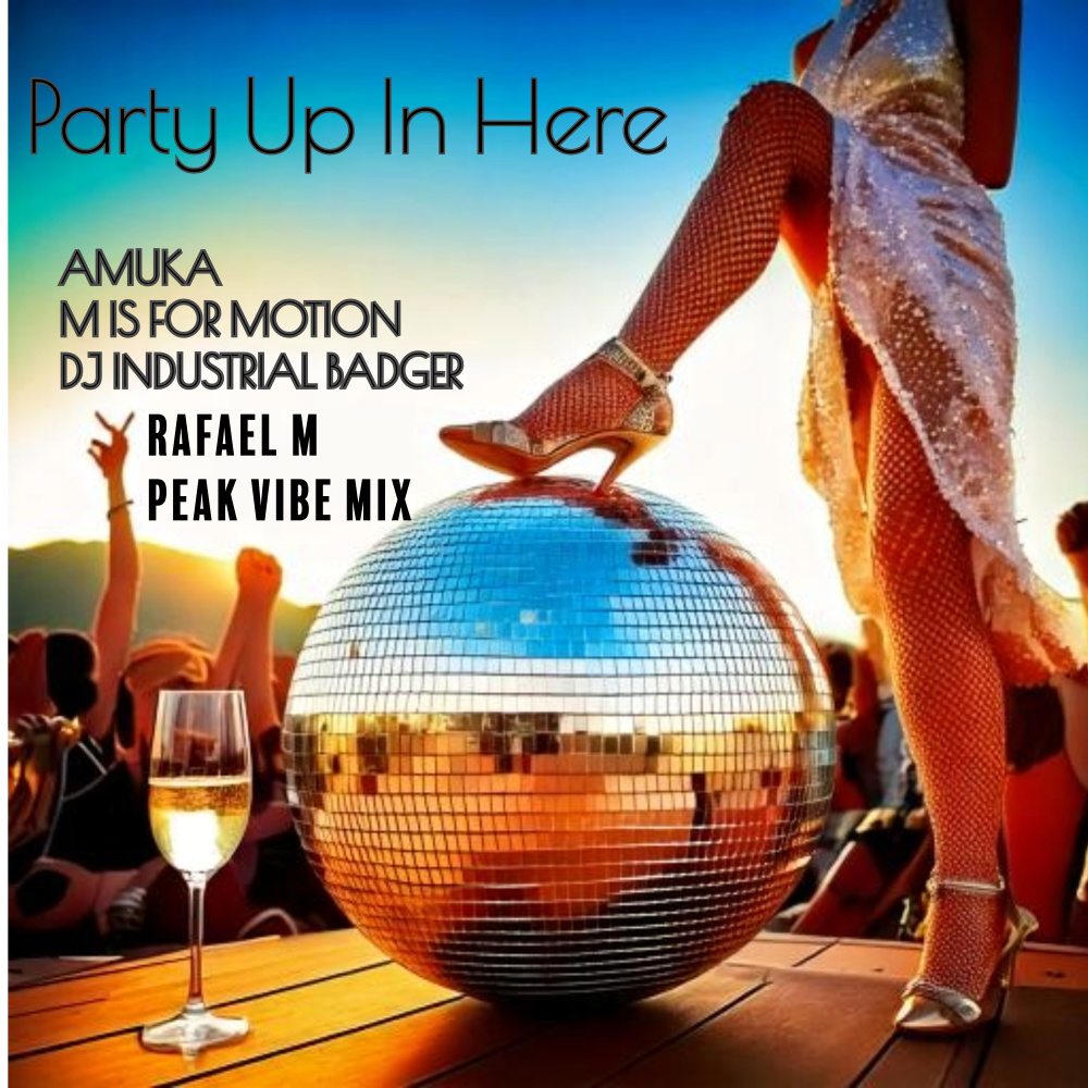 Party Up In Here (Rafael M Peak Vibe Mix|Explicit)