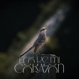 收聽Saldana的Eco De Mi Corazón歌詞歌曲