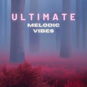 Album Ultimate Melodic Vibes from Various Artists