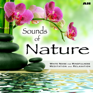 Listen to Natural Meditation song with lyrics from Sounds of Nature White Noise for Mindfulness Meditation and Relaxation