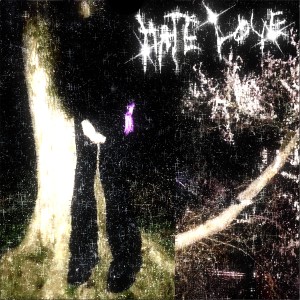 Listen to hate love (Remix) song with lyrics from TORONTOKYO
