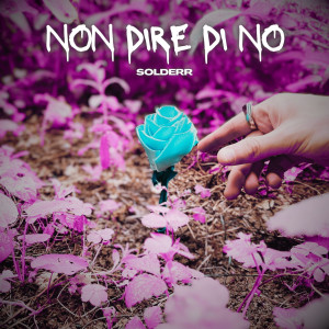 Album NON DIRE DI NO from 