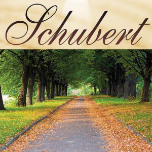 收聽The Royal Schubert Orchestra的Ave Maria D.389  - Schubert歌詞歌曲