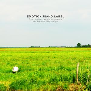 Album New age piano to comfort your soul from Various Artists