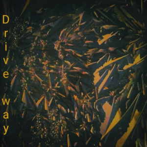收听Wavvvy T的Drive Way (Explicit)歌词歌曲