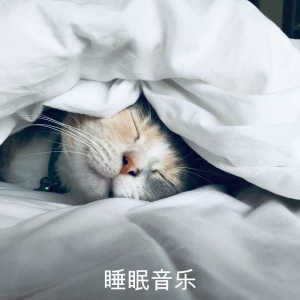 Listen to Relaxing Music And Gentle Rain song with lyrics from Deep Sleep Music Collective