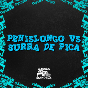 Dj CR da ZO的專輯Penislongo Vs Surra de Picada