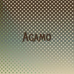 收聽Adangbe Rhythm Band的Agamo歌詞歌曲