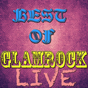 Various Artists的專輯Best of Glamrock (Live)