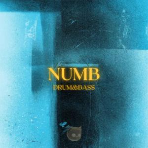 อัลบัม Numb (Drum and Bass) ศิลปิน dnb Demon