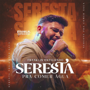 Listen to Essa Tal Liberdade song with lyrics from Franklin Estilizado