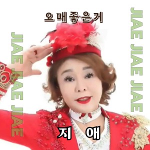 Listen to 오매좋은거 (랩) song with lyrics from 지애