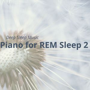 收聽Relax α Wave的Coma of Calm歌詞歌曲