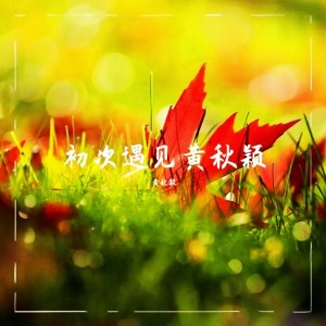 Album 初次遇见黄秋颖 from 黄秋颖