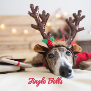 Album Jingle Bells oleh Various