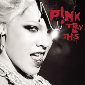 ดาวน์โหลดและฟังเพลง Humble Neighborhoods พร้อมเนื้อเพลงจาก P!nk