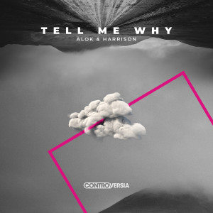ดาวน์โหลดและฟังเพลง Tell Me Why พร้อมเนื้อเพลงจาก Alok