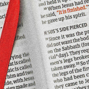 Fresh Life Worship的專輯Jesus Paid It All (Live)